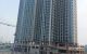 thum-8299176_M3ITNy4J9K_1639375561.jpg