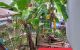 thum-8300176_1mrMOkhu8w_1639409956.jpg