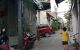 thum-m_16MlvhYsPm_1639391577.jpg