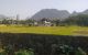 thum-m_VO75upMRgF_1639360680.jpg