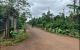 thum-m_bPkKesQ5hY_1639366360.jpg