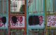thum-m_udvIKGgMV1_1639385059.jpg