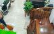 thum-8300711_5iZ1fX26jC_1639446750.jpg