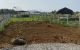 thum-8300716_8lEdOXQBeN_1639447189.jpg