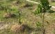 thum-8300716_avr0e6LsnT_1639447192.jpg