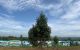 thum-8301010_K9RbrOPTgA_1639453285.jpg