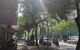 thum-m_zS9NrwsulL_1639452752.jpg