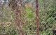 thum-8302716_1TZKg6k2QS_1639531967.jpg