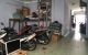 thum-8302785_TK9EQsZ3kl_1639534098.jpg