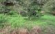 thum-8302798_txnmJZzoaT_1639534386.jpg