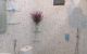 thum-8303105_f0tvRBEZ5C_1639541098.jpg
