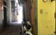 thum-8303944_dlqty2jR5v_1639560599.jpg