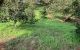 thum-m_xmqdFs3jWh_1639534381.jpg