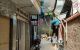thum-8305495_jahE4s8WUI_1639628046.jpg