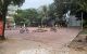 thum-8306030_CniFNU3opv_1639645053.jpg