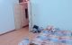 thum-m_AEwPQ9e5Cl_1639661625.jpg