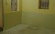 thum-8307141_gGOZMt4vus_1639702393.jpg