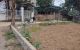 thum-8307805_4iLusFdayO_1639722232.jpg