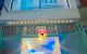 thum-m_Fo9wWpSL7i_1639709446.jpg