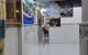 thum-m_KCfjFe81A0_1639743534.jpg
