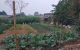 thum-m_mIkvlBd4oF_1639713466.jpg