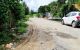 thum-8313459_md7QMfDGY9_1639969183.jpg