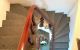 thum-8313739_tOhbDdPRT9_1639973969.jpg