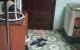 thum-8314231_Py70NVwrJb_1639991737.jpg