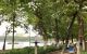 thum-m_KEWvsAiUFS_1640006461.jpg