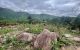 thum-m_aOg7BjhYTF_1639968664.jpg