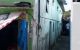 thum-8315603_W6lHOd3jt2_1640055060.jpg