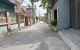 thum-8315728_4GmZBeE3qD_1640061367.jpg