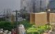 thum-8315810_WFhRzweXpg_1640065671.jpeg