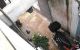 thum-8315815_MyWT8BAdtV_1640066383.jpg