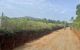 thum-8315930_zKAWE80ti1_1640069947.jpg