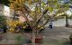 thum-8315946_xAuWeJBMhL_1640070338.jpg
