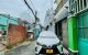 thum-8316132_cQ2iF75YA3_1640076071.jpg