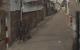 thum-8316780_tr1v0LN4mj_1640095783.jpg