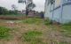 thum-8316855_ez8LcBnkP3_1640098747.jpg