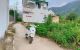 thum-m_Yuq32Mnjpm_1640076397.jpg