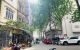 thum-m_t843QMdyoB_1640050036.jpg