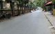 thum-8317485_d27SibVqTv_1640128893.jpg
