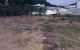 thum-8317639_dlaOcq4MjU_1640140723.jpg