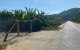 thum-8317748_oxYpaN6rDq_1640144347.jpg
