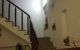 thum-8318755_wmZb7SFk9s_1640186549.jpg