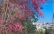 thum-m_1yXAOm9Z0p_1640163168.jpg