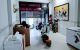 thum-m_DAex3cNbZJ_1640160105.jpg