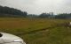 thum-m_OoYGSF5bwa_1640157146.jpg