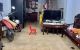 thum-m_uVmqiBMSGJ_1640140741.jpg