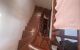 thum-m_vgzqj2QXpZ_1640187727.jpeg